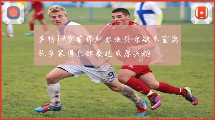 多特19岁前锋科尔坎贝尔欲冬窗离队多家俱乐部表达浓厚兴趣
